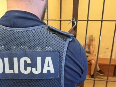 3,5 promila, 8-latek i pies w aucie. Świadek nie dopuścił do tragedii na Śląsku