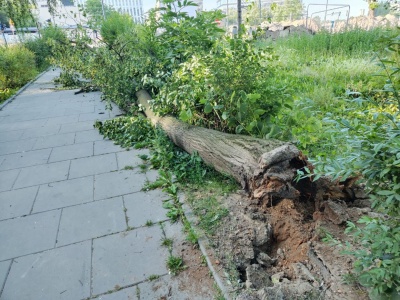 Kraków. W nocy i o poranku może być niebezpiecznie