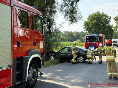 Fordem uderzyła w drzewo. Starsza kobieta trafiła do szpitala