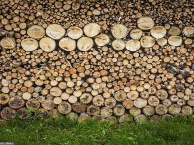 Niemiecki producent zwija się z Polski. Dziesiątki pracowników do zwolnienia