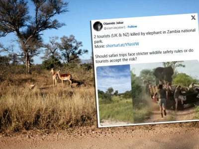 Safari zakończone tragedią. Dwie turystki zostały zabite przez słonia