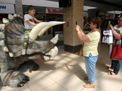Jak nam się żyło z dinozaurami? Te badania pokazują stopień niewiedzy Polaków
