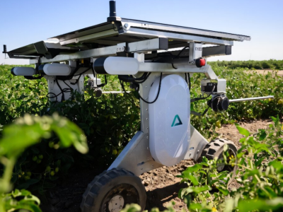 Robot zamiast opryskiwacza. Sztuczna inteligencja odchwaszcza pola bez chemii