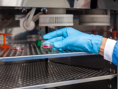 Rok programu in vitro. Mamy pełne dane z Ministerstwa Zdrowia. 14 tysięcy ciąż