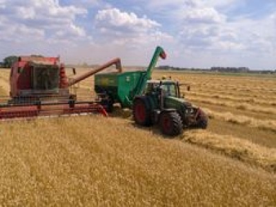 W żniwa koszą na wsiach najwięcej pieniędzy. Jak zostać kombajnistą?