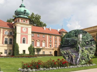 Burza uszkodziła park przy Zamku w Łańcucie. Część terenu jest zamknięta dla turystów [ZDJĘCIA]