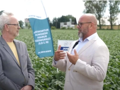 Pomerania, Janetka i Jabadu w Ulhówku. Czym się wyróżniają nowe odmiany buraka? (FILM)