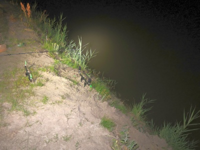 Tragedia pod Piotrkowem Kujawskim. Wędkarz wpadł do stawu i utonął