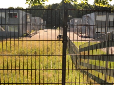 Dzieci boją się chodzić do żłobka. Chodzi o nachodźców