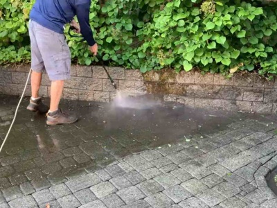 Kostkę brukową czyszczę tylko tym. Zamienia chwasty w proch