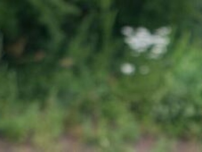 Sparingowe granie w czwartej lidze. Po weekendzie zadowoleni mogą być kibice Hetmana Zamość