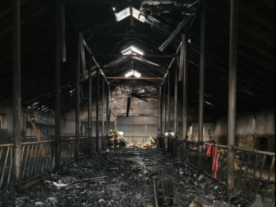 Tragiczny pożar obory w Maliszewie Perkusach. Zginęło 30 krów, spłonęły budynki gospodarcze