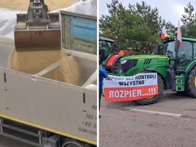 Masowy import z Ukrainy? Rolnicy ostrzegają: nowe przepisy to umożliwią