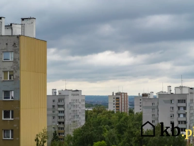 AI przewiduje przyszłość wielkiej płyty. Jeden z możliwych scenariuszy to katastrofa