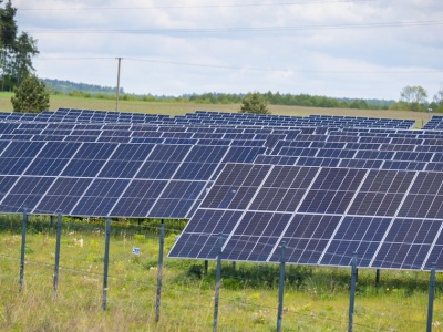 Ceny energii poniżej zera. W Polsce już więcej godzin z ujemnymi stawkami niż w całym 2024 r.