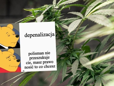 Projekt depenalizujący marihunę jest już gotowy, dopuszcza posiadanie 15 gram lub jednego krzaczora