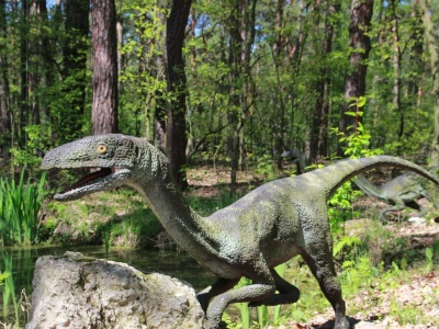 Kość sprzed 225 mln lat burzy teorię o początkach dinozaurów