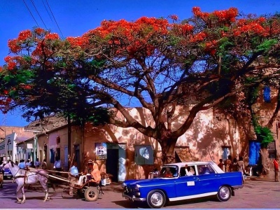 Peugeot 404 stał się w tym mieście legendą. Poznajcie Dire Dawa