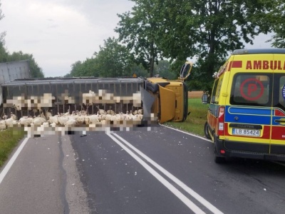 BMW wjechało pod ciężarówkę wiozacą indyki. Zginęła kierująca autem kobieta