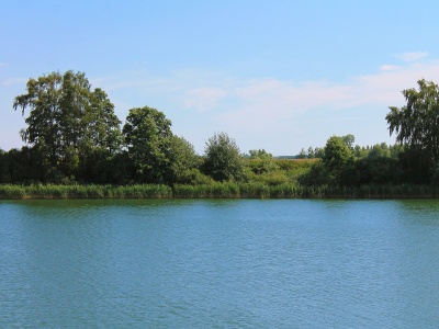 Archeolodzy odnaleźli 1000-letnią twarz w polskim jeziorze. Sensacja w Wielkopolsce