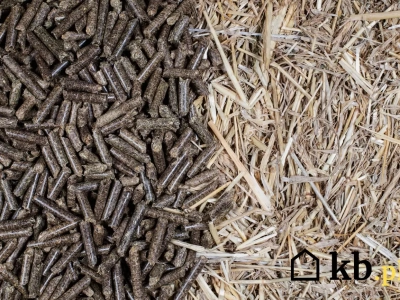 Tani i ekologiczny opał, który może zastąpić pellet drzewny!