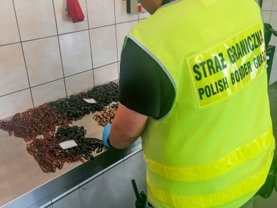Rosjanie próbowali podstępem przekroczyć granicę. Straż Graniczna udaremniła przemyt