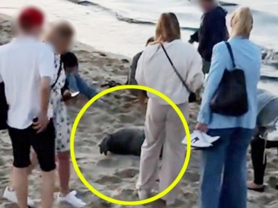 Osaczyli ją na plaży w Sopocie. Skandaliczne zachowanie turystów