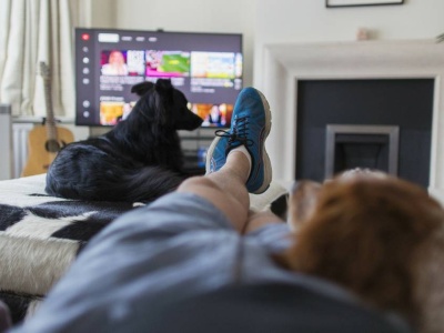Psy oglądają telewizję. Mają nawet preferencje co do treści