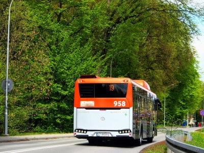Dramat na pętli: owczarek niemiecki potrącony przez autobus. MPK Rzeszów przeprasza