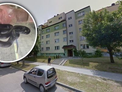 Panika w bloku w Bełchatowie. Powód okazał się kuriozalny