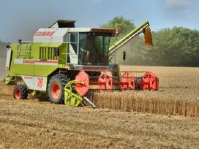 Żniwa 2025. Rolnicy dopłacą potężne pieniądze. Padły liczby