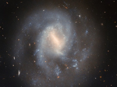 Teleskop Hubble'a zobrazował galaktykę spiralną z poprzeczką w gwiazdozbiorze Wielkiej Niedźwiedzicy