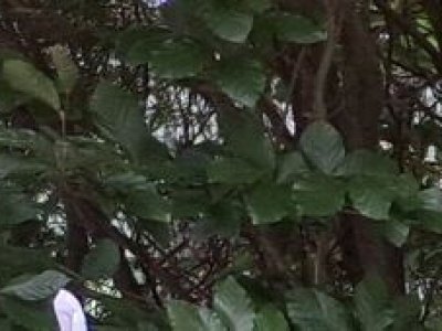 Związkowcy z Bogdanki zapowiadają spór zbiorowy. Zarząd nic o tym nie wie