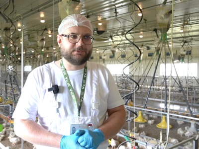Brojler przyszłości rośnie tu. Bez antybiotyków, bez strachu, z laboratoryjną precyzją