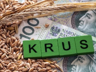 Muszą za to przeżyć miesiąc. Tyle emerytury KRUS wysyła rolnikom