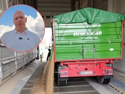 Ceny zbóż jak w latach 90. Rolnicy dokładają do hektara, ale GUS robi z nich milionerów