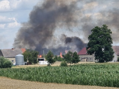 Pożar zboża na pniu w Pogórzu