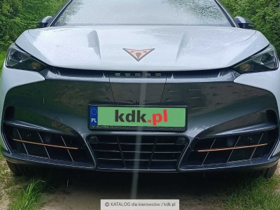 Rynek: Europejczycy rzucili się do zakupu samochodów elektrycznych. Tak, to clickbait