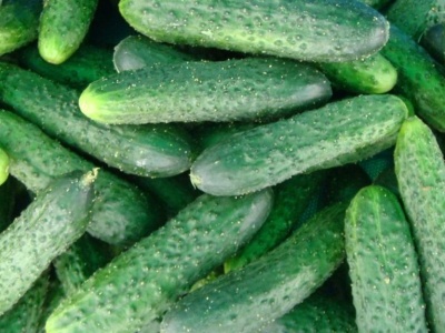 Najnowsze ceny ogórków gruntowych – nawet 10 zł/kg