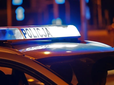 Policjanci zajrzeli do kontenera. Szczeniak piszczał, obok leżały zwłoki 3 małych psów