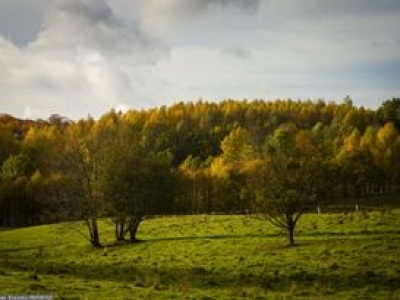 Turyści zatykają zielone płuca odpadami. Koszty ponoszą mieszkańcy