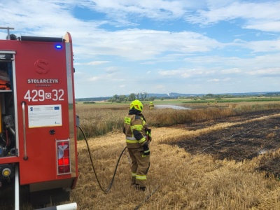 409 pożarów upraw i 87 maszyn – gorący sezon dla strażaków