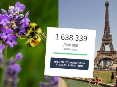 Francja: petycja w obronie pszczół przed środkami owadobójczymi zebrała ponad 1,3 miliona podpisów