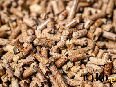 Ile kosztuje samodzielna produkcja pelletu? Te kwoty kompletnie zaskakują!