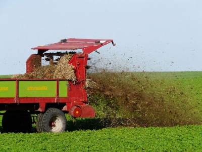 Drastyczny spadek produkcji trzody chlewnej prowadzi do ograniczenia nawożenia organicznego