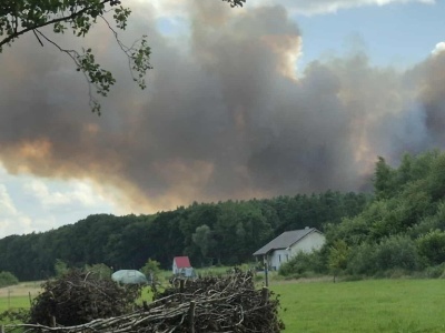 Duży pożar zboża. W akcji strażacy z dwóch powiatów