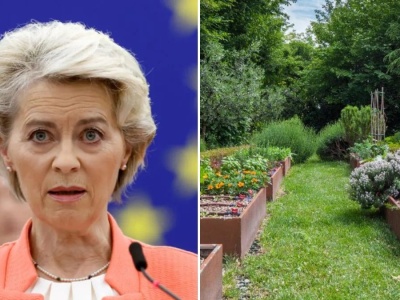 UE zakazuje uprawy tych roślin: Surowe kary dla tych, którzy mają je w ogrodach
