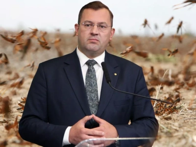 Szarańcza blisko polskiej granicy. Minister Krajewski: szykujemy drony i przepisy