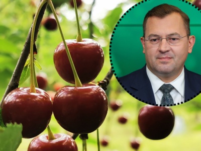 Zmowa cenowa na rynku owoców? Minister Krajewski kieruje sprawę do UOKiK