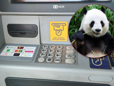„Toksyczna Panda” już w Europie. Wirus śledzi aplikacje bankowe w smartfonach